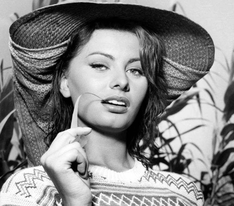 Sophia Loren