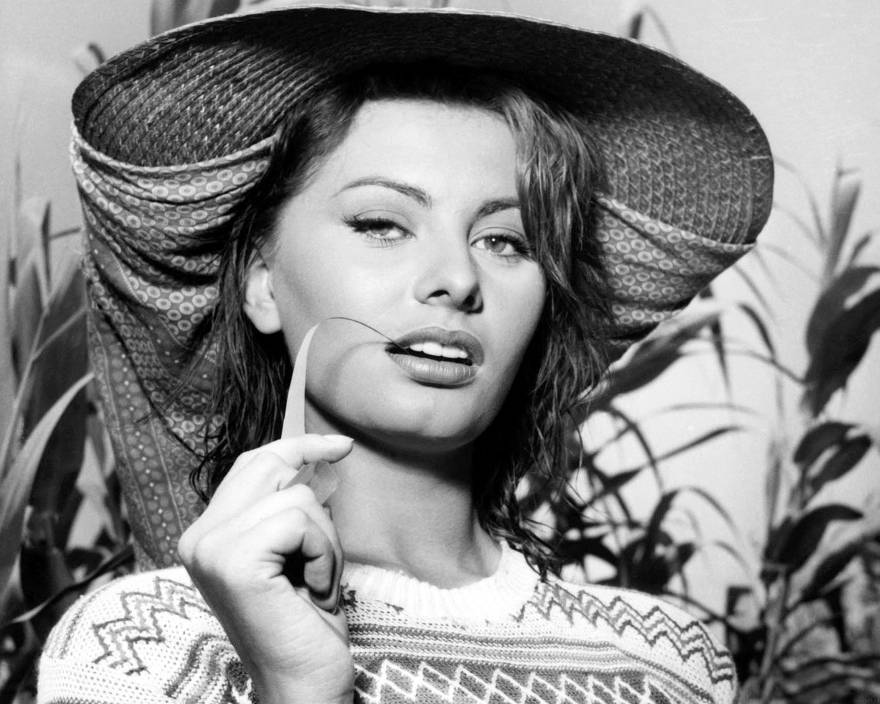 Sophia Loren