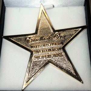 Estrella Premio Excelencia
