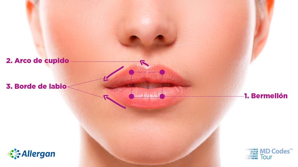 Tratamientos de belleza labios